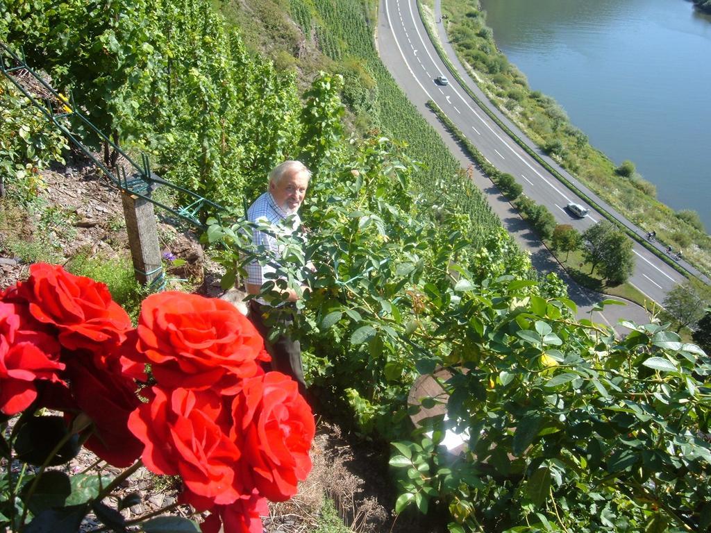 Kleines Winzerhauschen Villa Bremm Ruang foto
