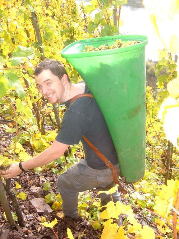 Kleines Winzerhauschen Villa Bremm Ruang foto