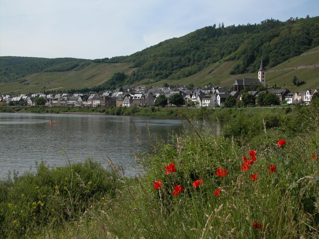 Kleines Winzerhauschen Villa Bremm Ruang foto