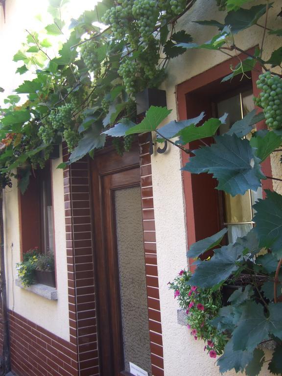 Kleines Winzerhauschen Villa Bremm Bagian luar foto